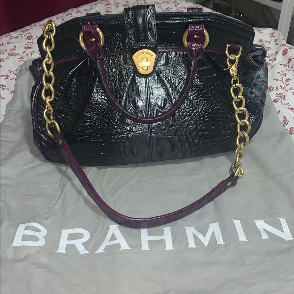 Brahmin Purse